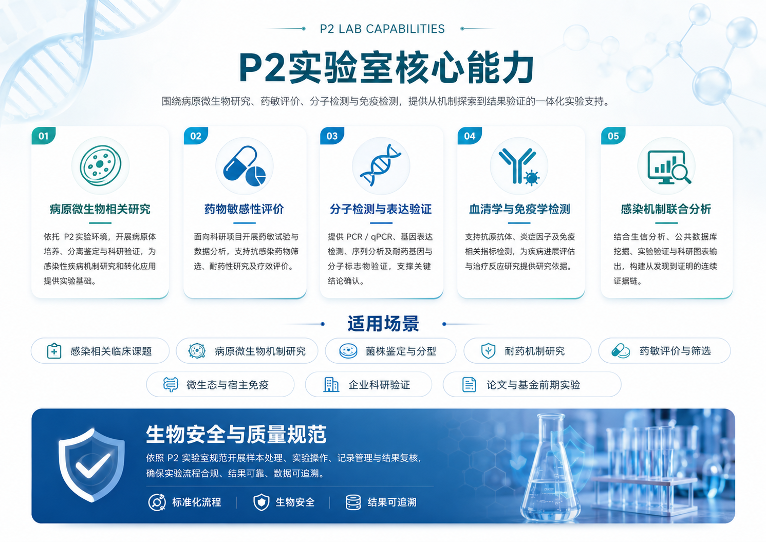 P2 实验室核心实验能力、适用场景及生物安全与质量规范